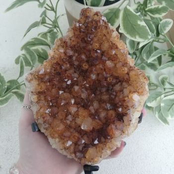 Citrine Cluster On Stand - 06