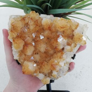 Citrine Cluster On Stand - 12