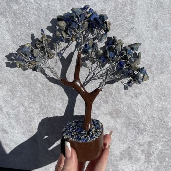 Lapis Lazuli Tree - Medium 014